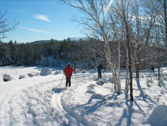 Camino invernal con raquetas de nieve
